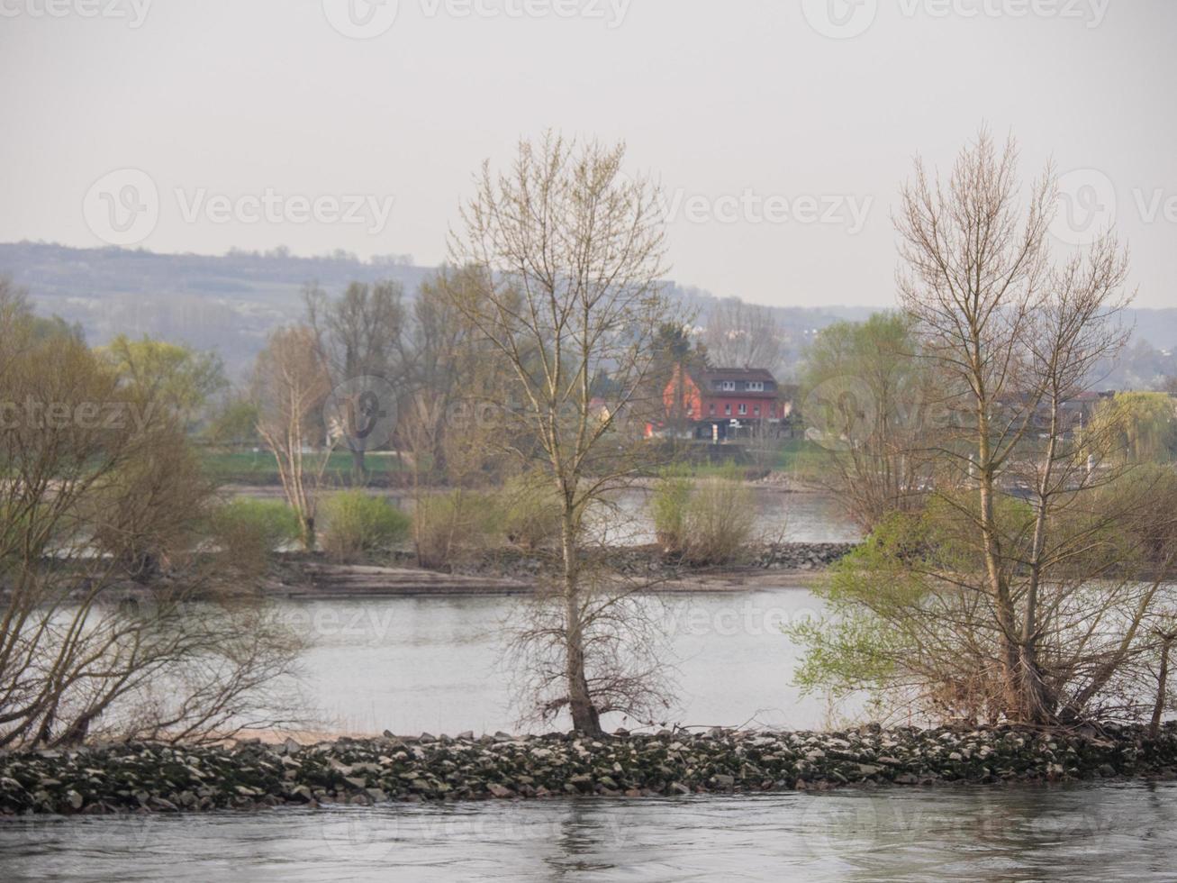 el río rin en alemania foto