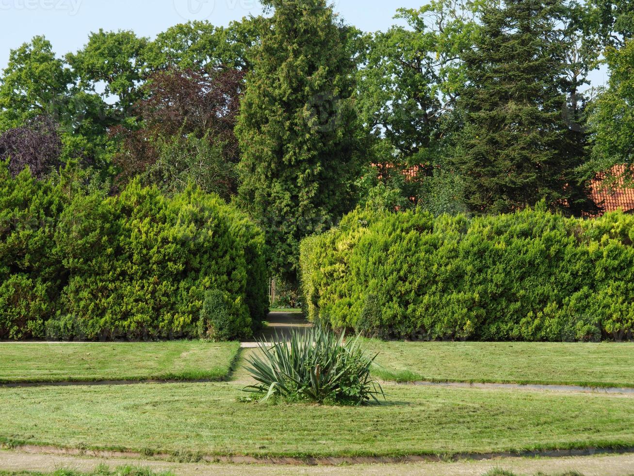 summer time in a park in northern germany photo
