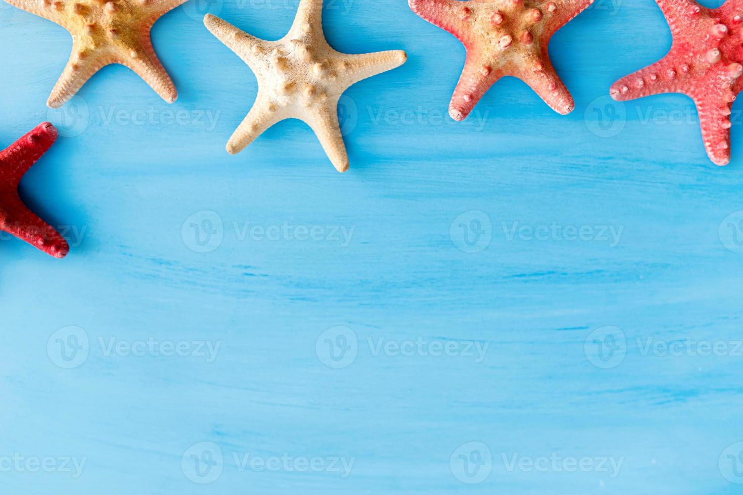 fondo azul marino con conchas marinas y estrellas de mar. foto