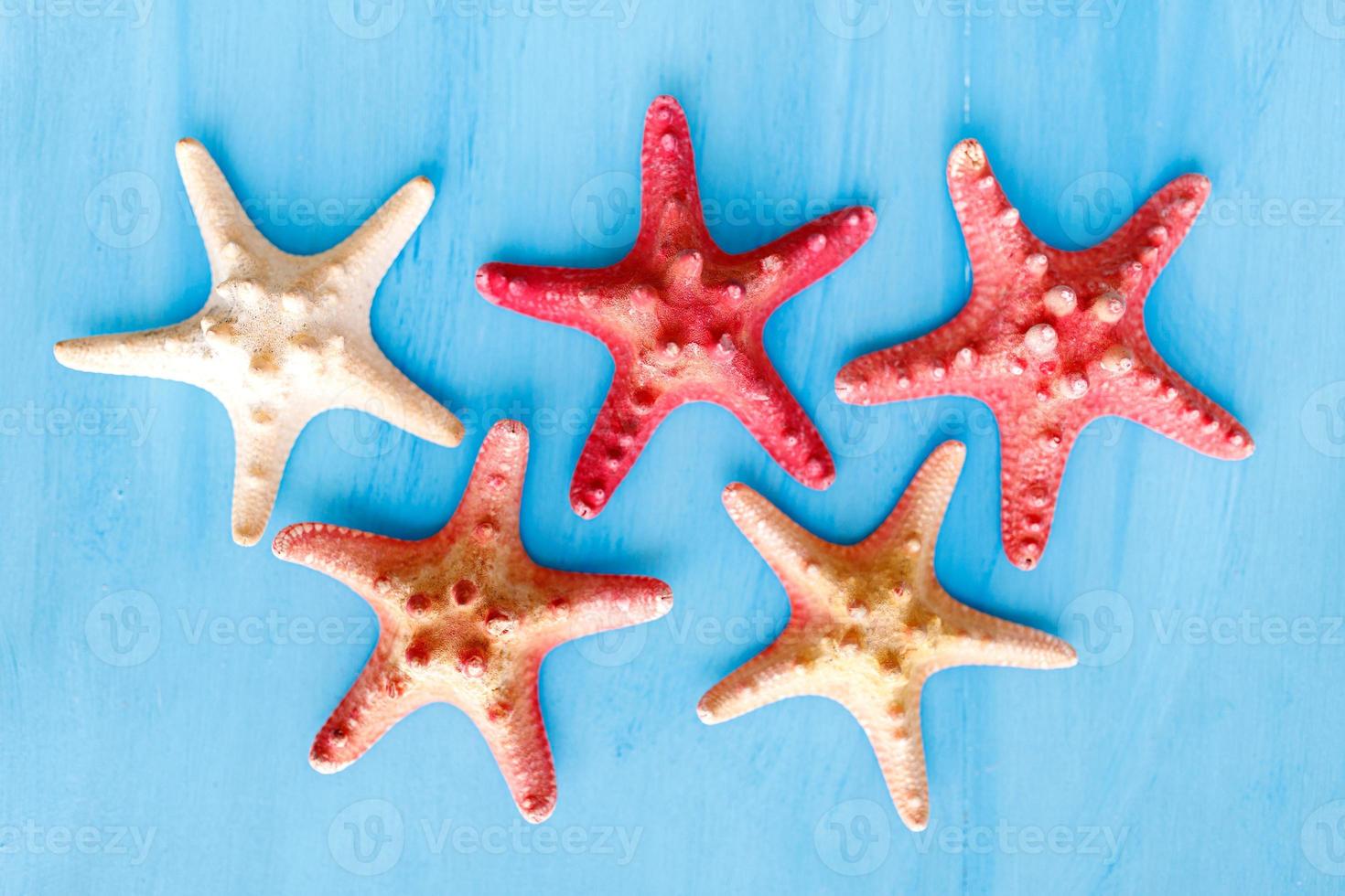 Marine blue background with seashells and starfish. photo