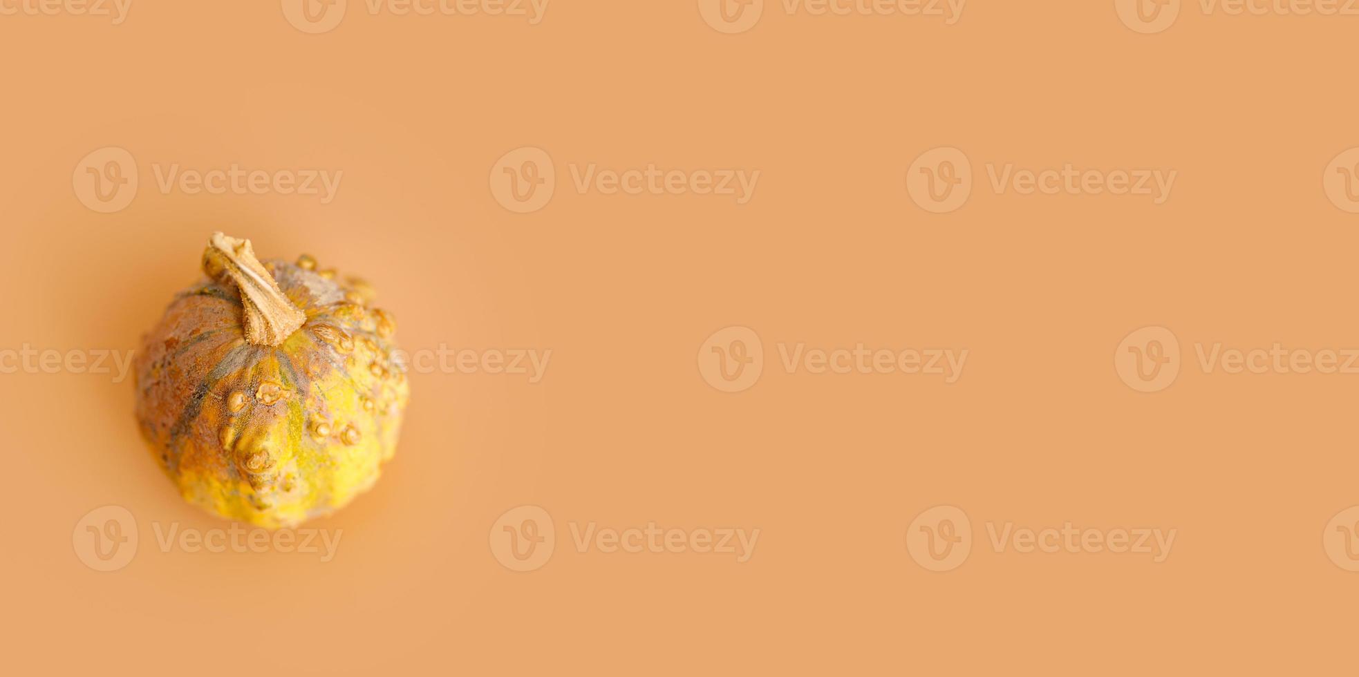 Horizontal pastel background with different sorts of pumpkins. photo