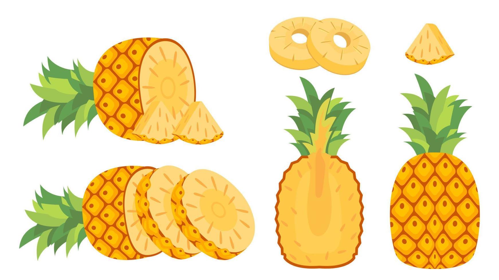 conjunto de colección de objeto de piña de fruta de dibujos animados vector