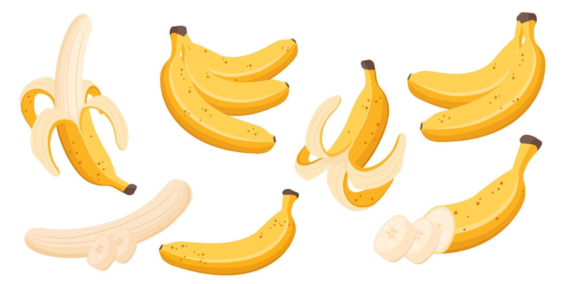 Collection set of fruit cartoon objects banana vector