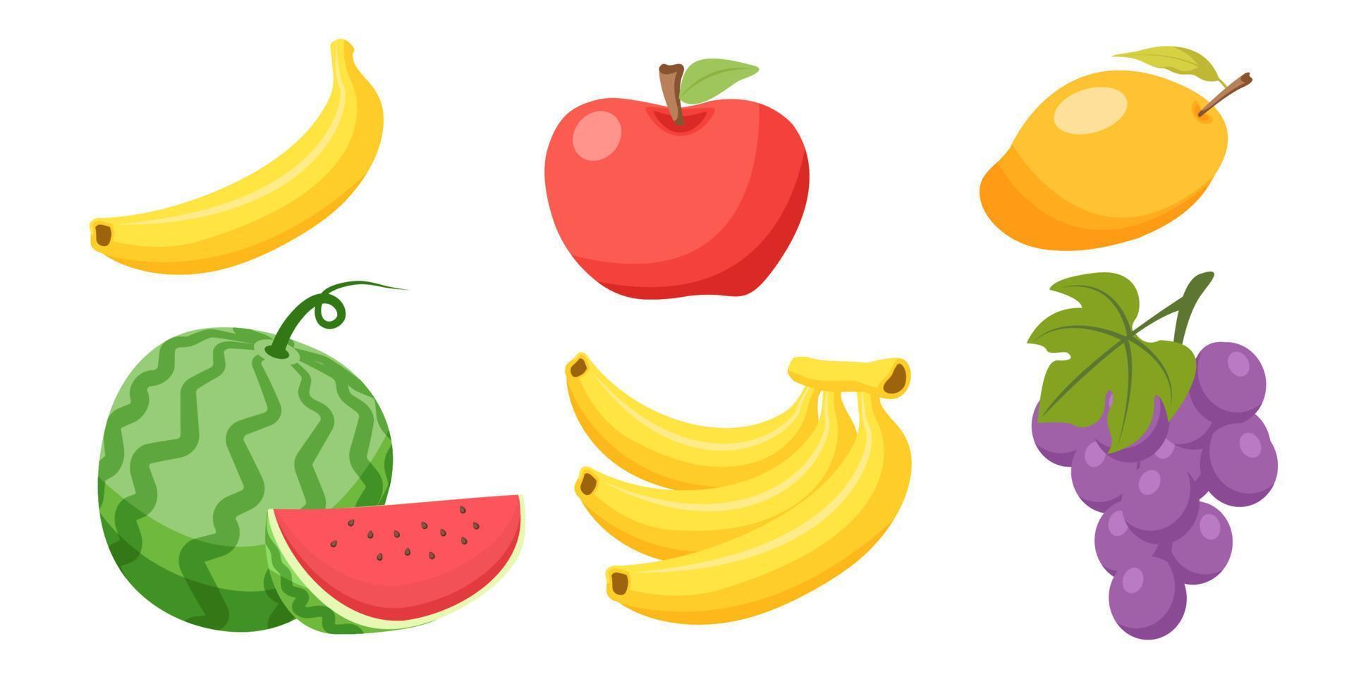 Collection set of food fruit water melon apple banana grape mango vector