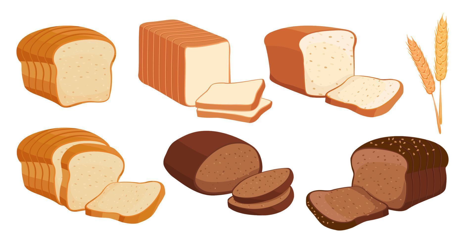 Collection set of food bakery bread vector
