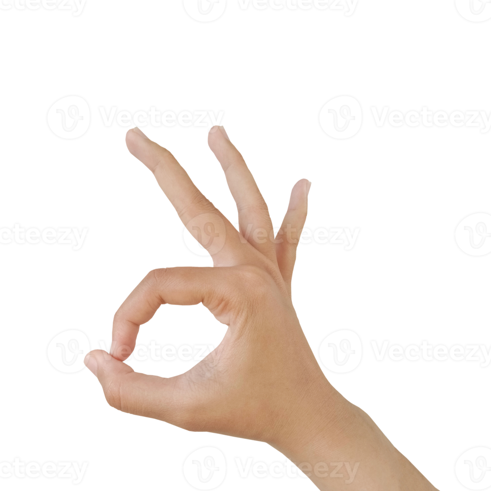 Close up Asian female hand show pinch gesture made, Ok sign finger arm and hand isolated on a white background copy space symbol language okay png