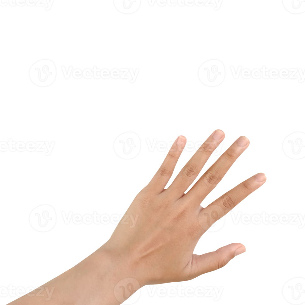 Close up Asian female hand show Number Five finger, palm hand in back, sign arm and hand isolated on a white background copy space symbol language png