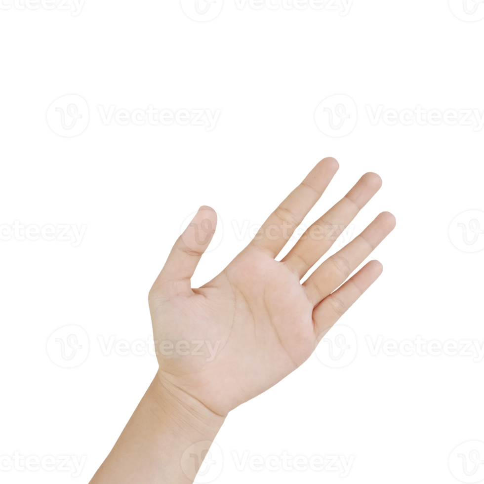 Close up Asian female hand show Number Five finger, palm hand in front, sign arm and hand isolated on a white background copy space symbol png