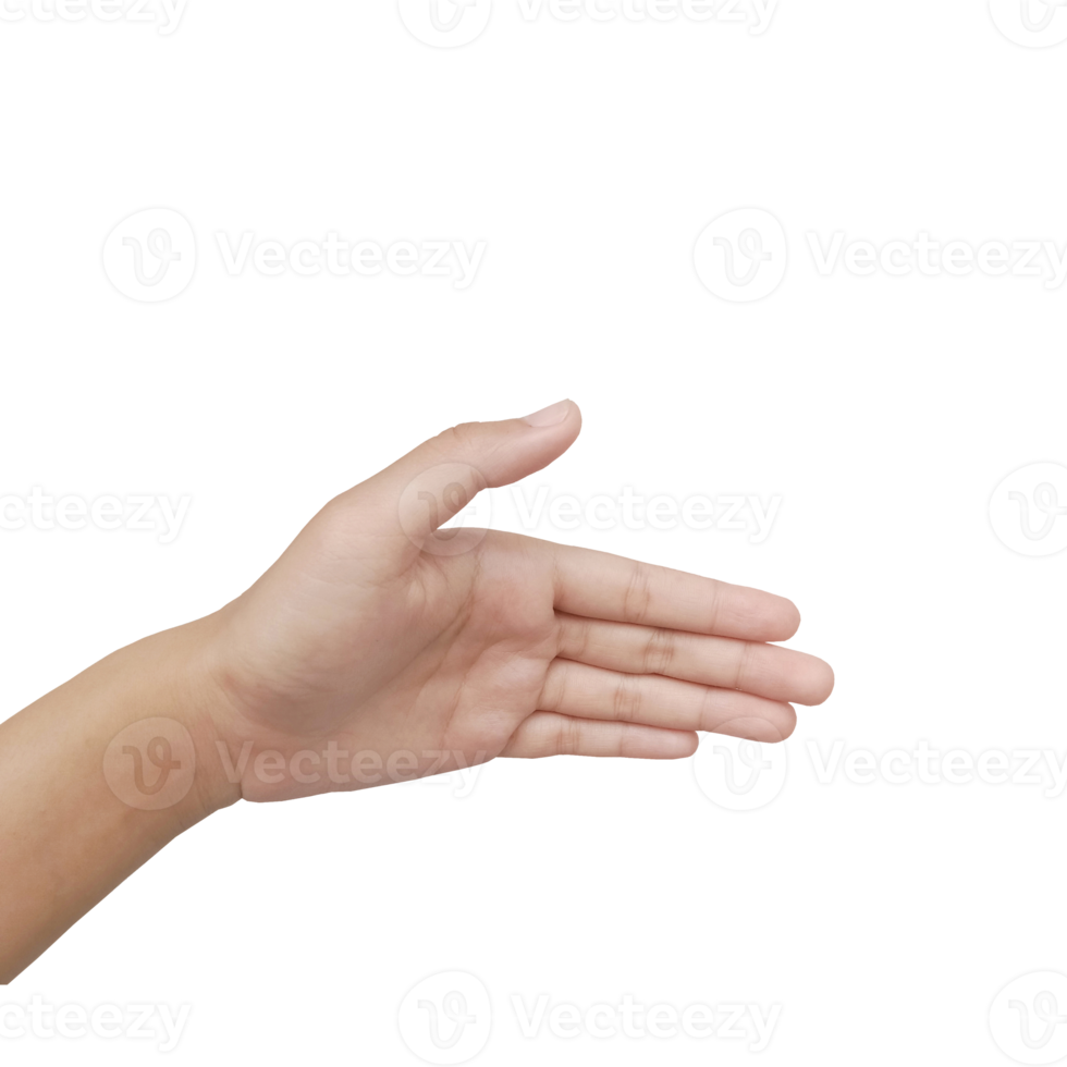 close-up Aziatische vrouwelijke hand Toon nummer vijf vinger, palm hand vooraan, teken arm en hand geïsoleerd op een witte achtergrond kopieer ruimte symbool png