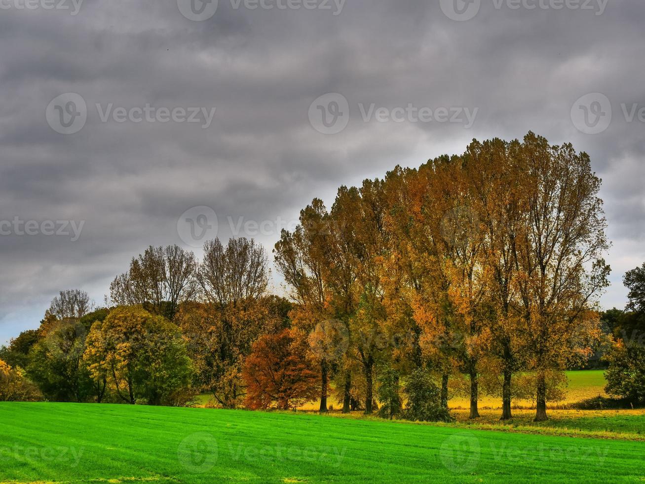 Autumn time in westphalia photo