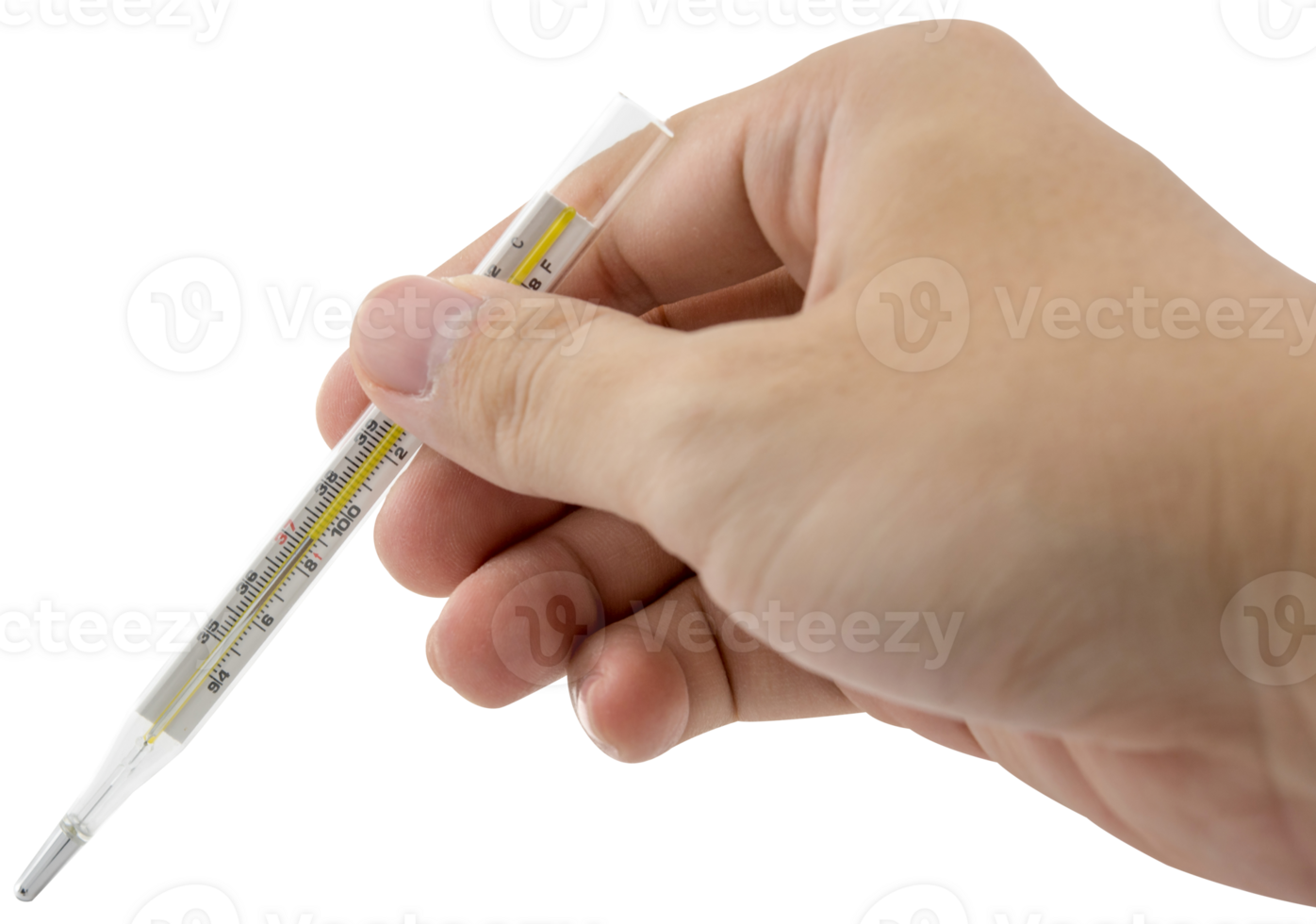 Hand holding Thermometer isolated png