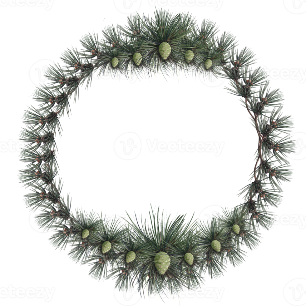 christmas wreath of virgin pine decorated with cones illustration png