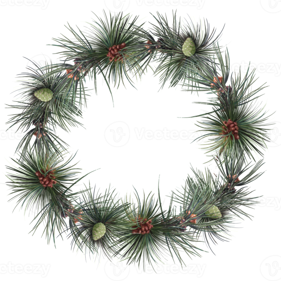 wreath of christmas tree branches, illustration png