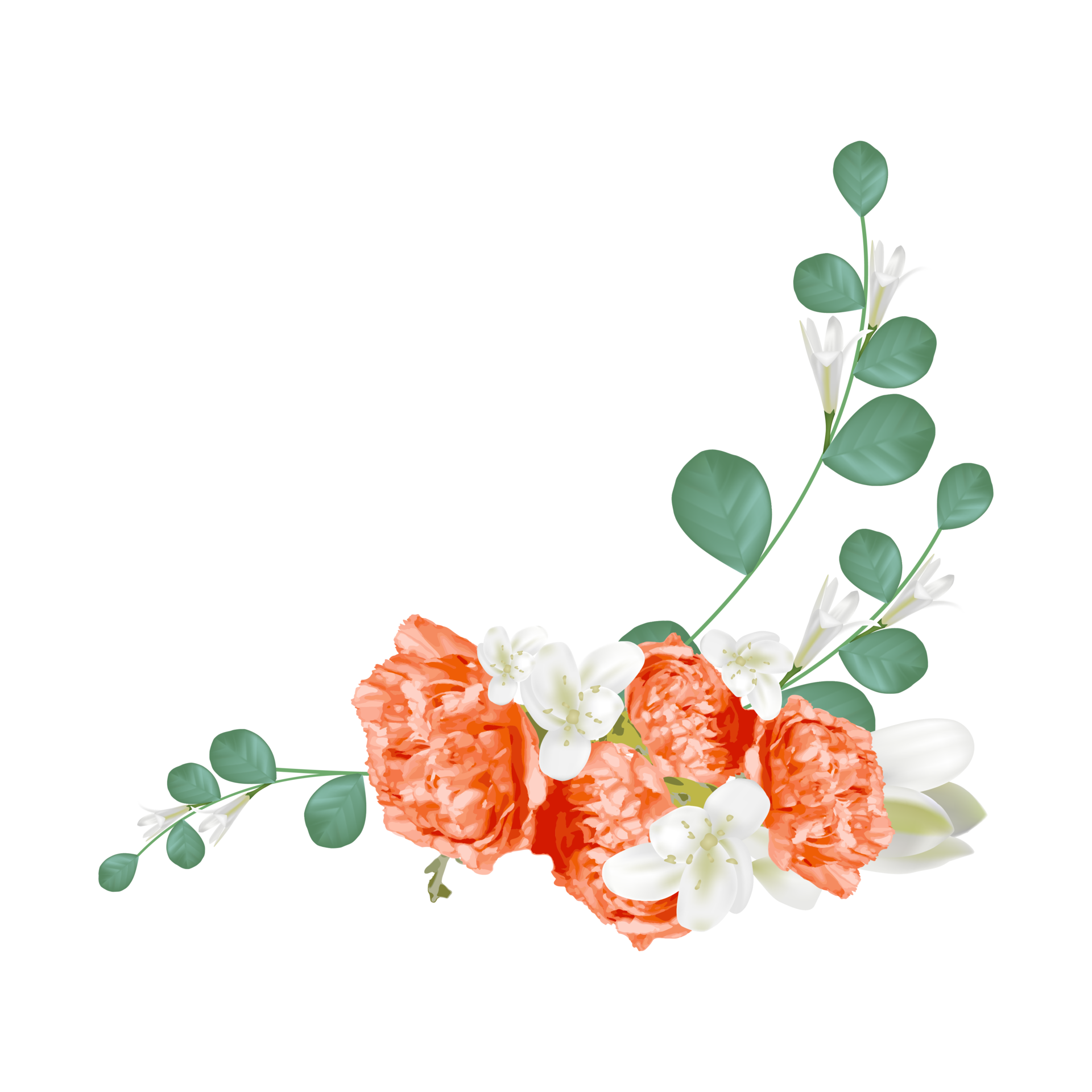Orange carnation flower with white flower and leaf. Bouquet 11222483 PNG