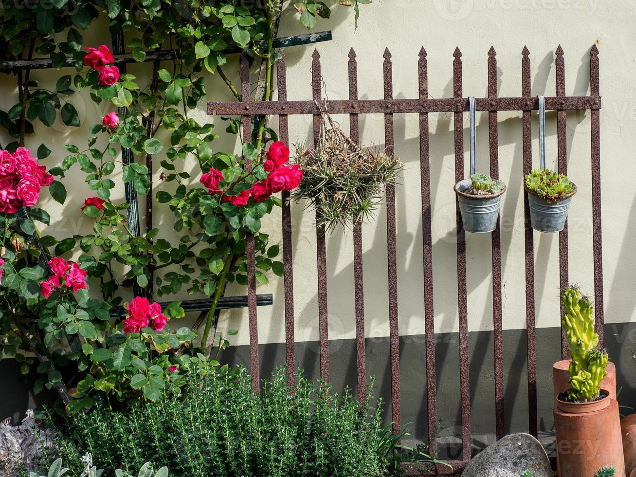 nice garden in germany photo