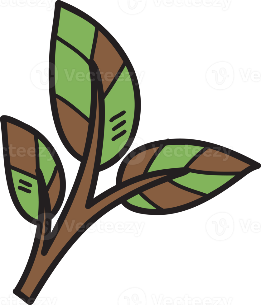 Hand Drawn small branch illustration on transparent background png