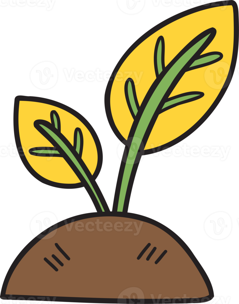 hand- getrokken bomen groeit van de grond illustratie Aan transparant achtergrond png