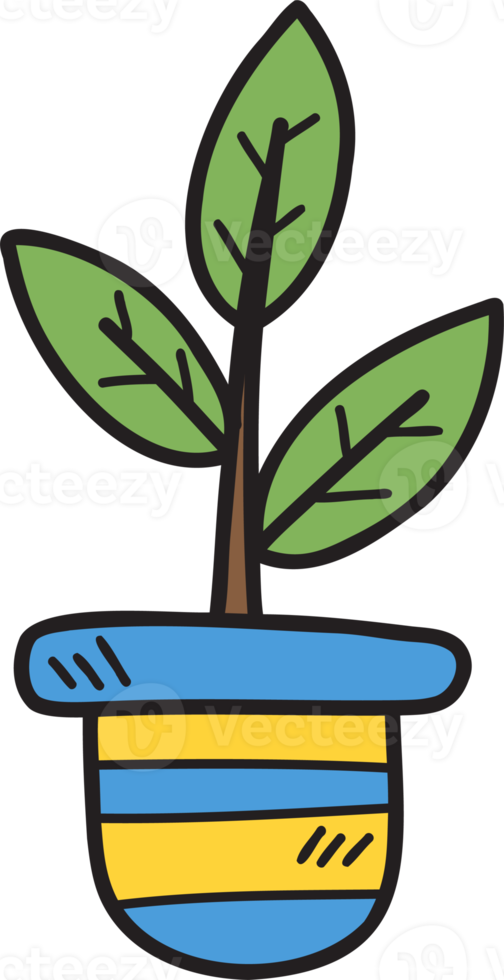 Hand Drawn a tree in a pot illustration on transparent background png