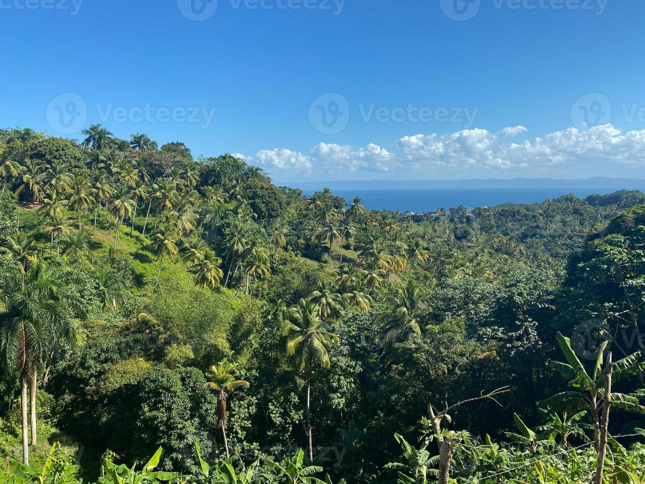 the caribbean sea photo