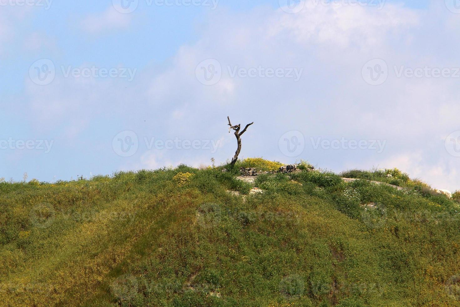 Landscape in the mountains in northern Israel. photo