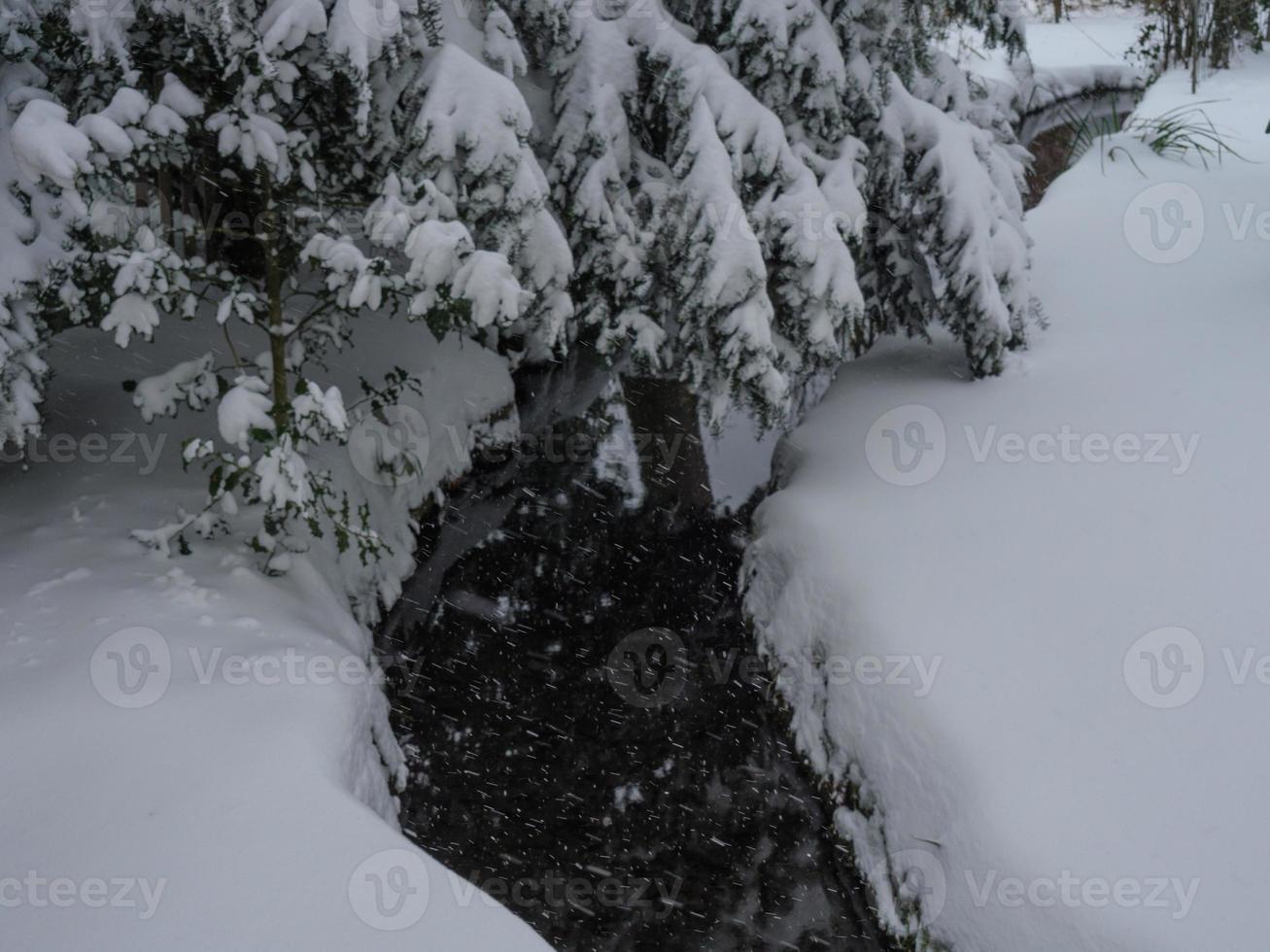 snow in germany photo