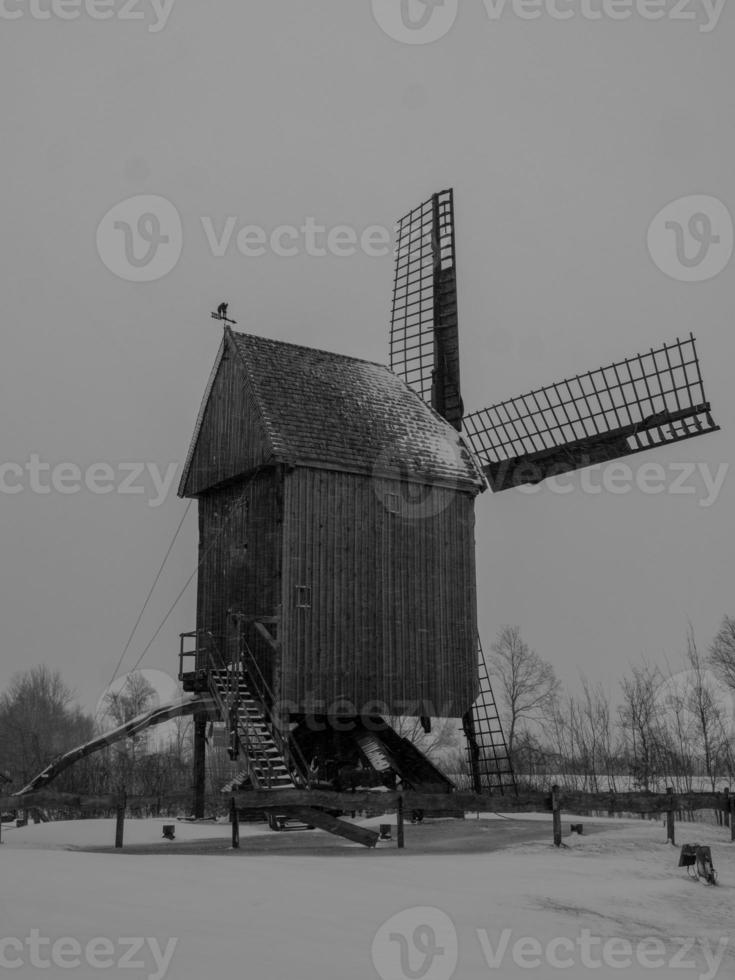 winter time in te german muensterland photo