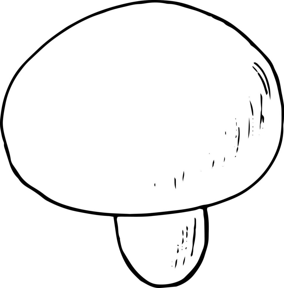 mushroom champignon sketch hand drawn doodle. icon, card, poster, , monochrome nature food ingredient vector