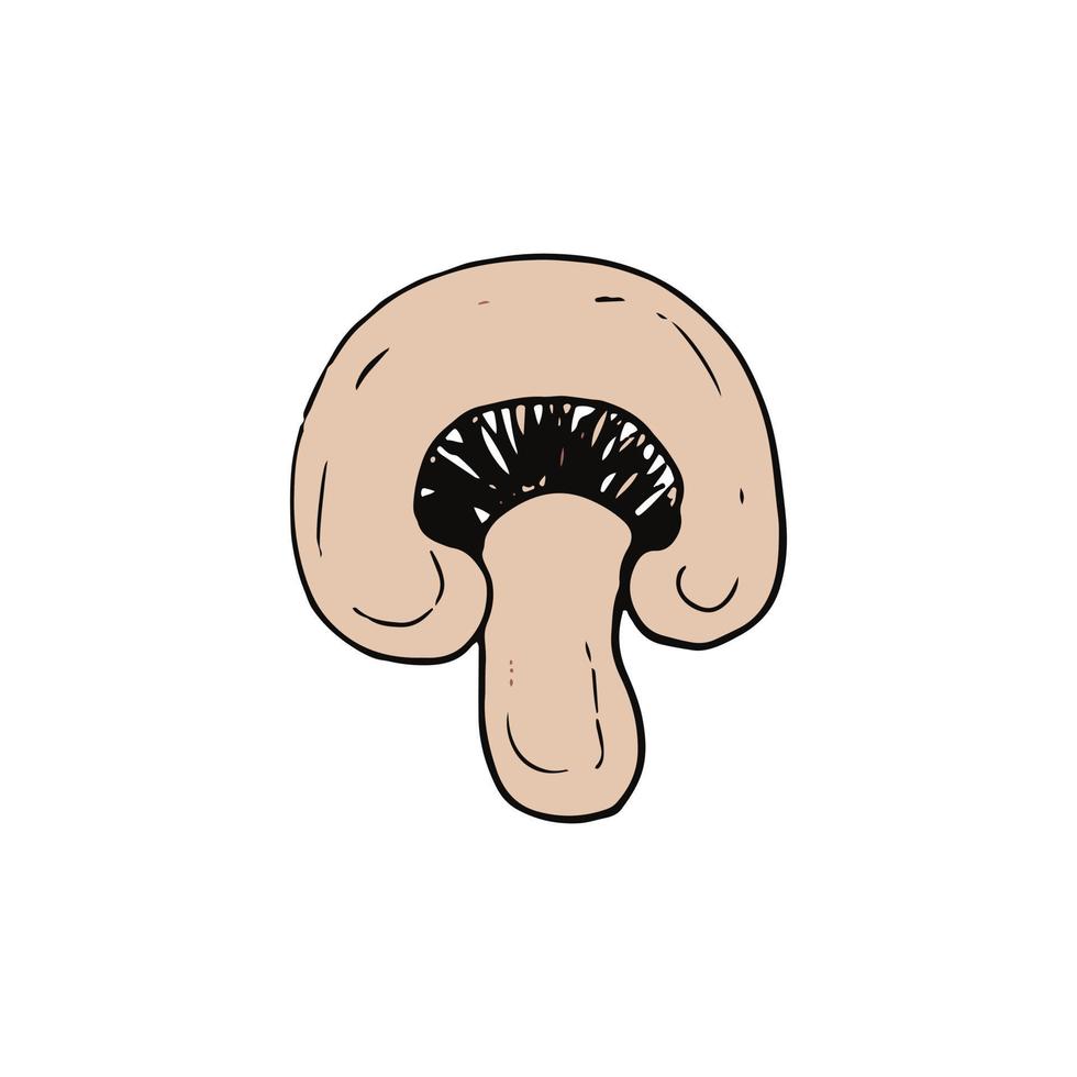 mushroom champignon half sketch hand drawn doodle. icon, card, poster, , monochrome nature food ingredient vector