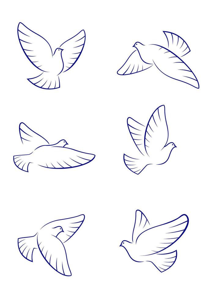 White doves and pigeons vector