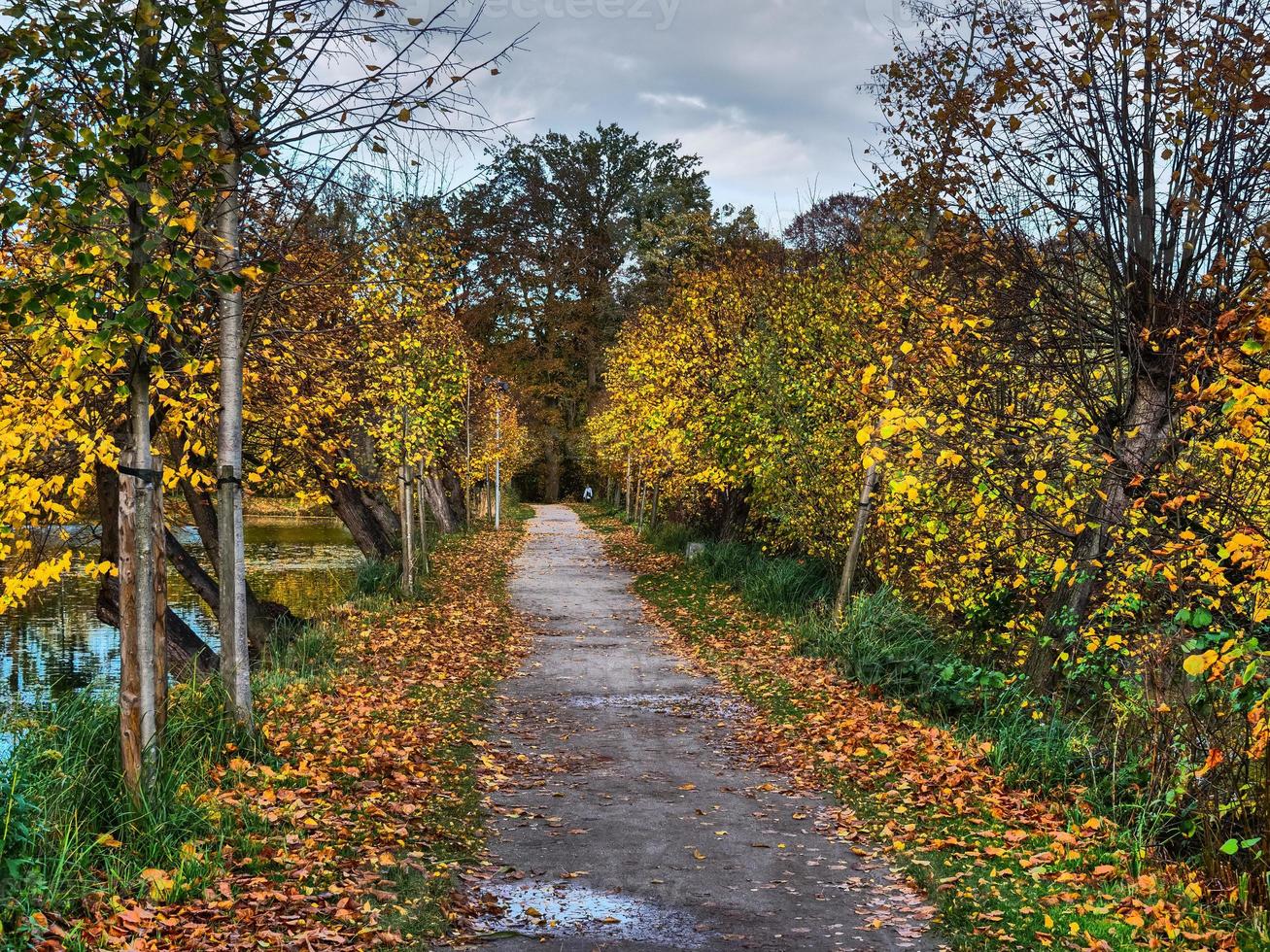 tiempo de otoño en westfalia foto