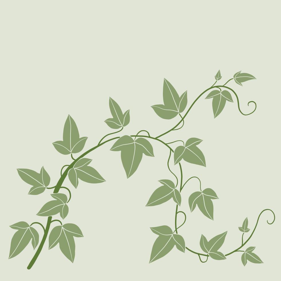 simplicidad hiedra dibujo a mano alzada diseño plano. vector