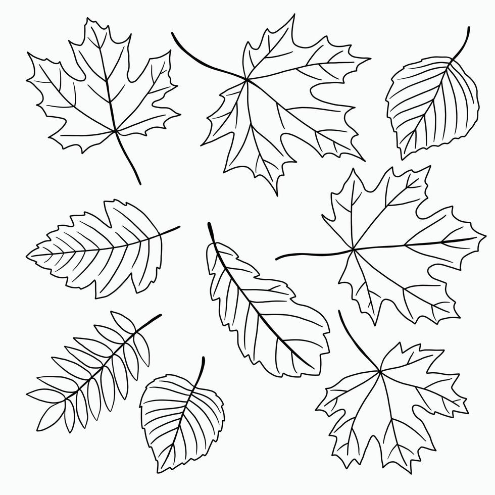 Simplicity maple freehand drawing flat design. vector