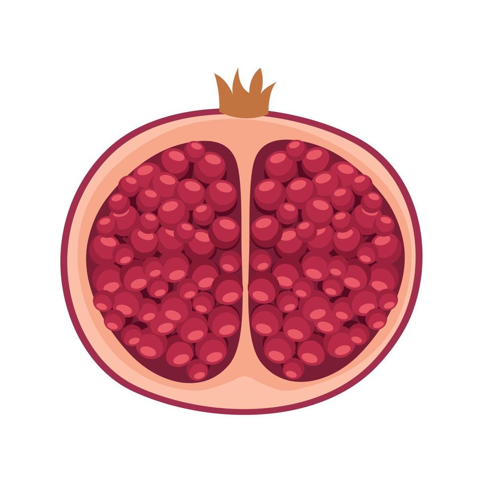 half pomegranate fresh fruit vector