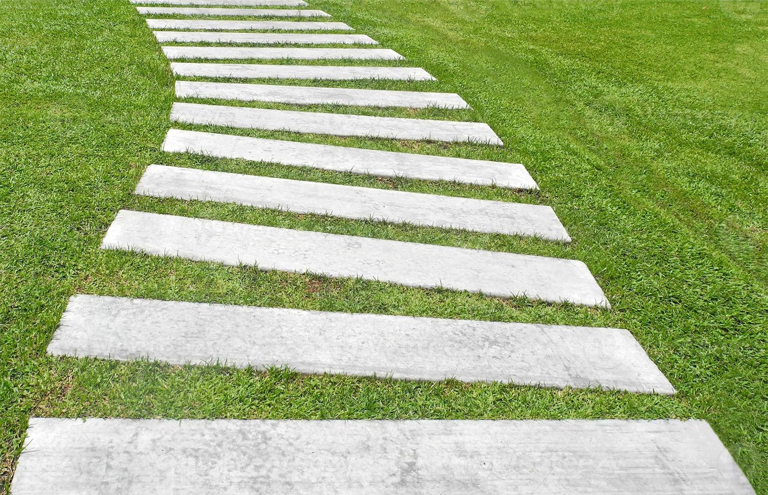 Pasarela de pasto verde y piedra en el parque foto