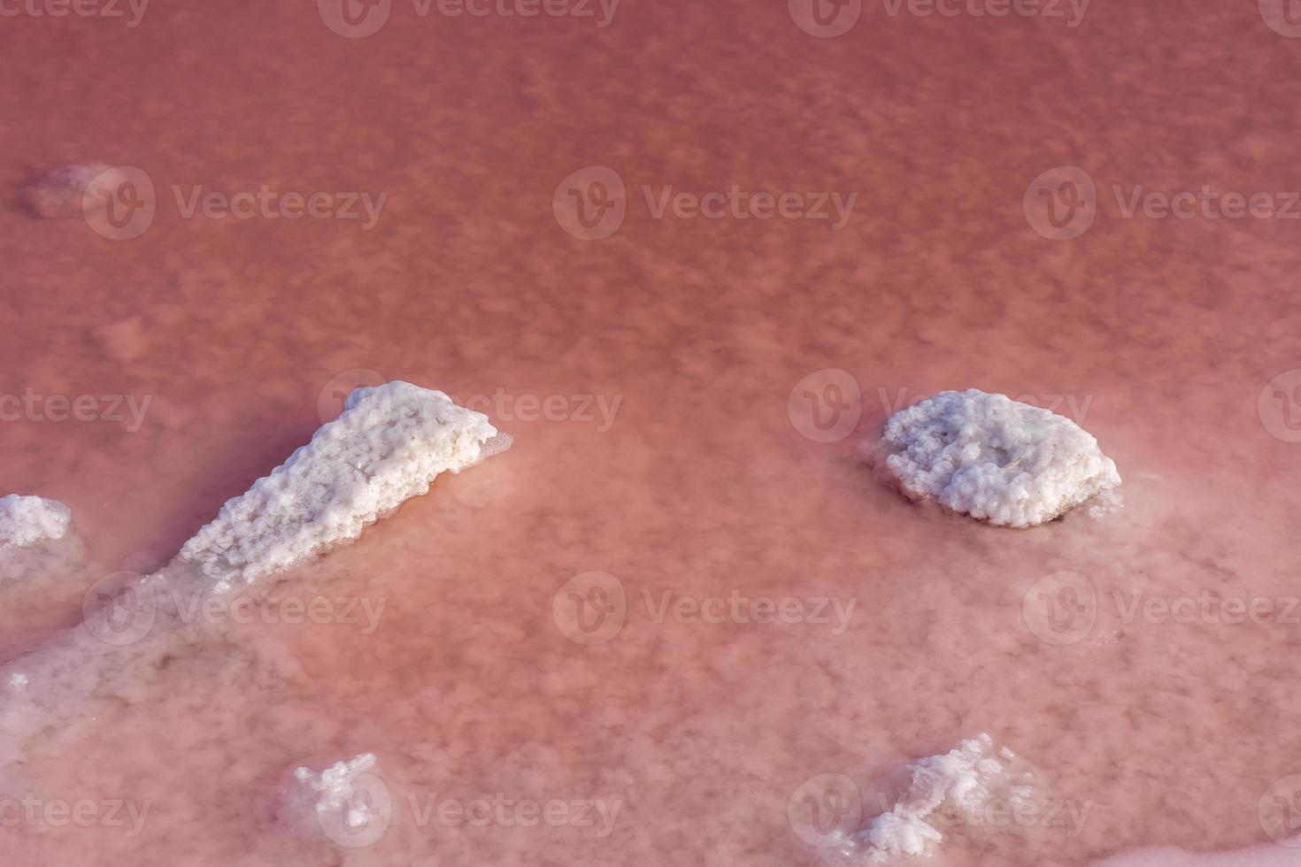 Salt crystals in a pink lake photo