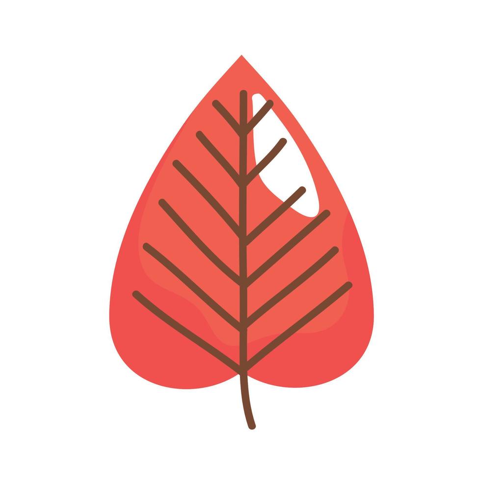 red autumn leaf vector