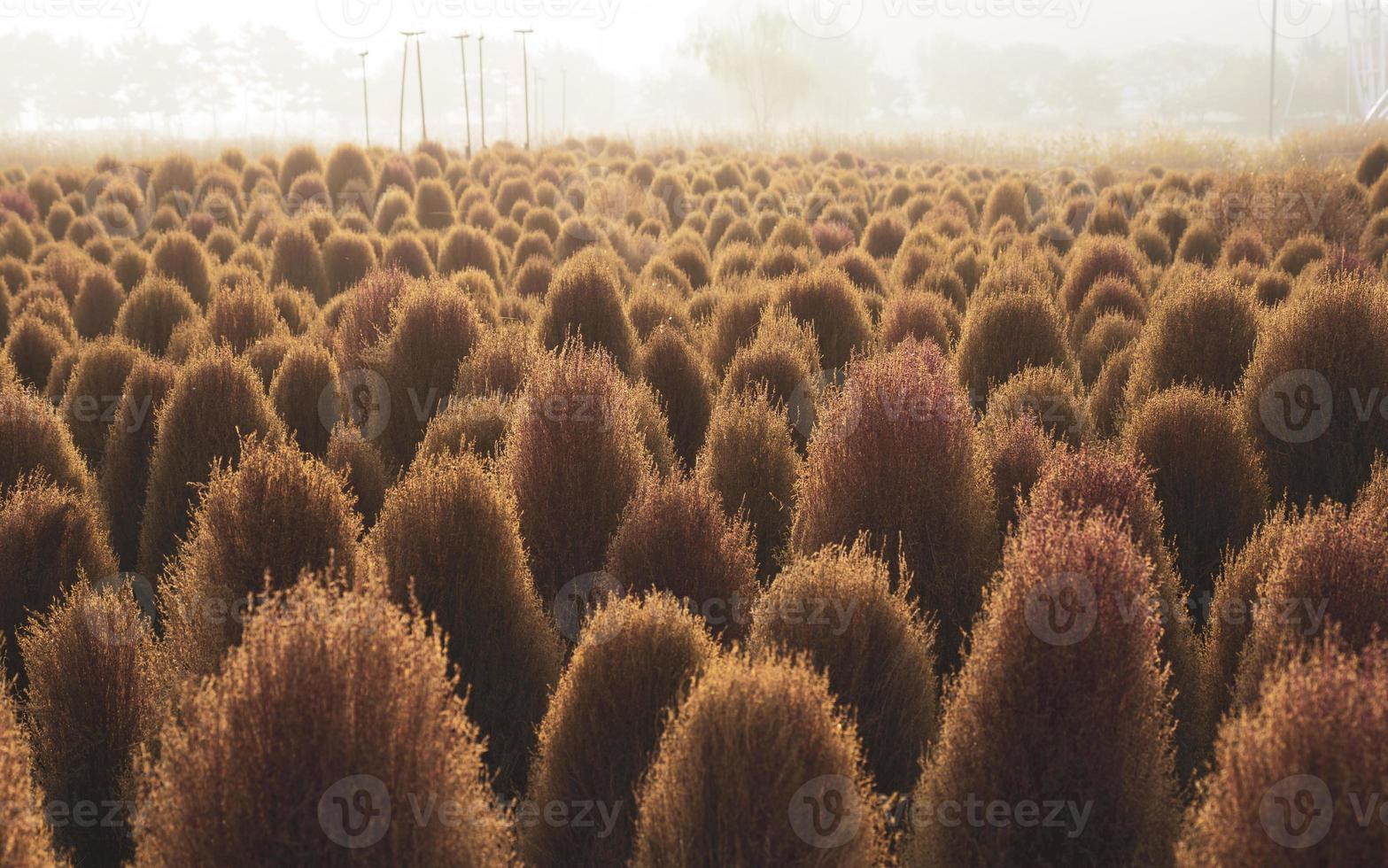 fotos de paisajes de otoño de octubre y árboles