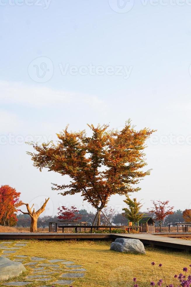 fotos de paisajes de otoño de octubre y árboles