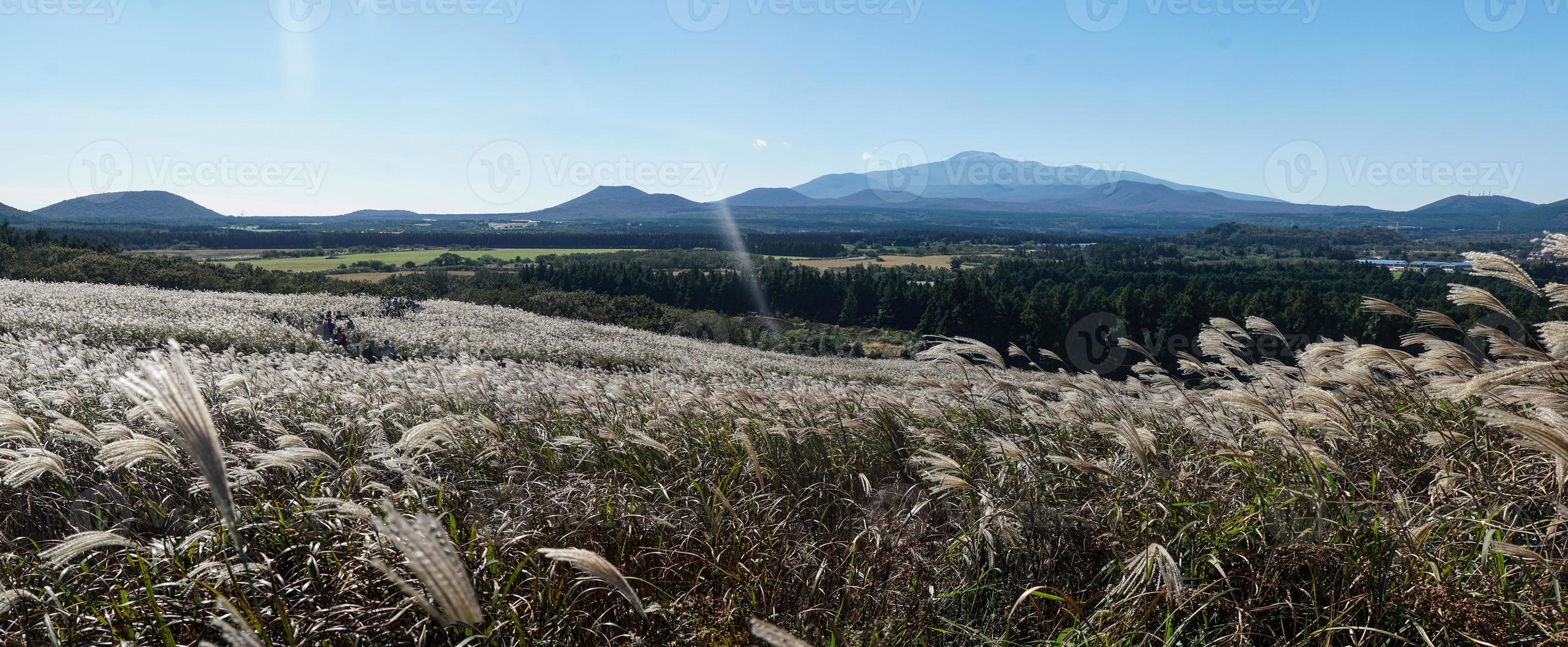 The Autumn Scenery of Mountain Gumburi in Jeju Island, Korea photo