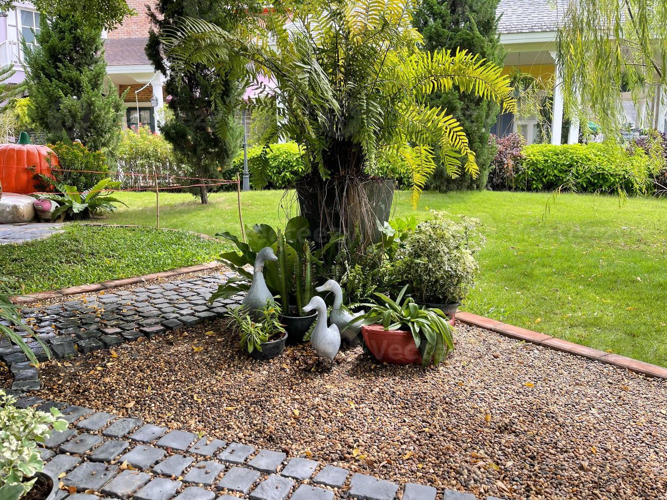 Pictures of green grass and stone garden decorations in the backyard of the house decorated with duck statues. photo