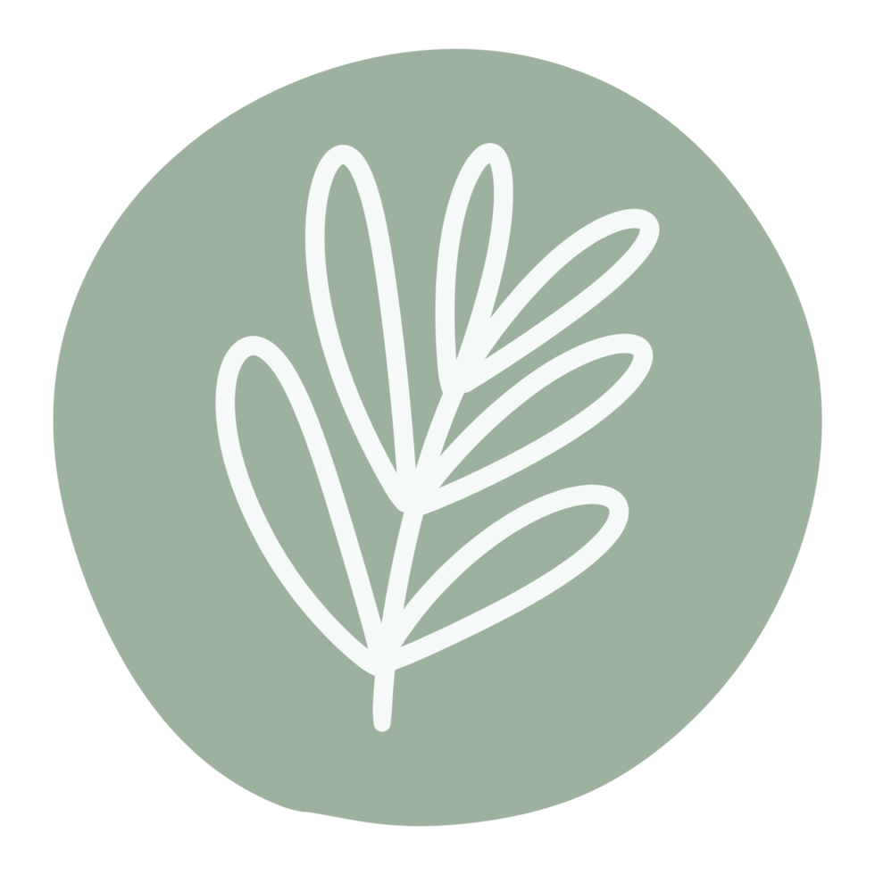 Outline floral and leaf sticker png