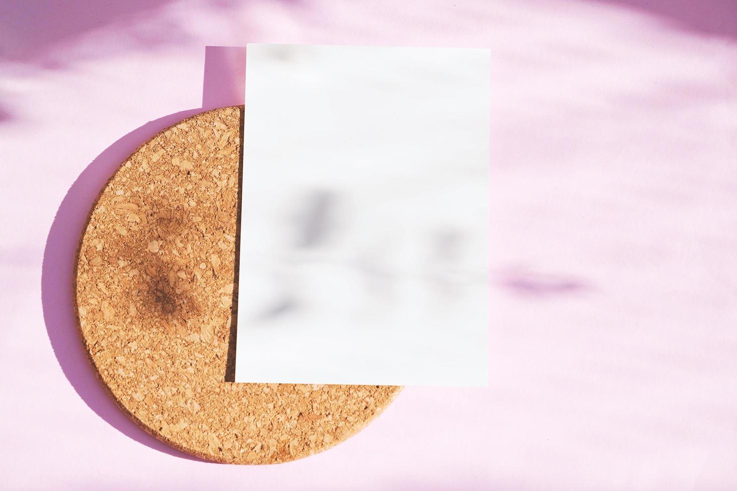 Flat lay of branding identity blank postcard on pink background with light and shadow from botany, minimal concept for design photo