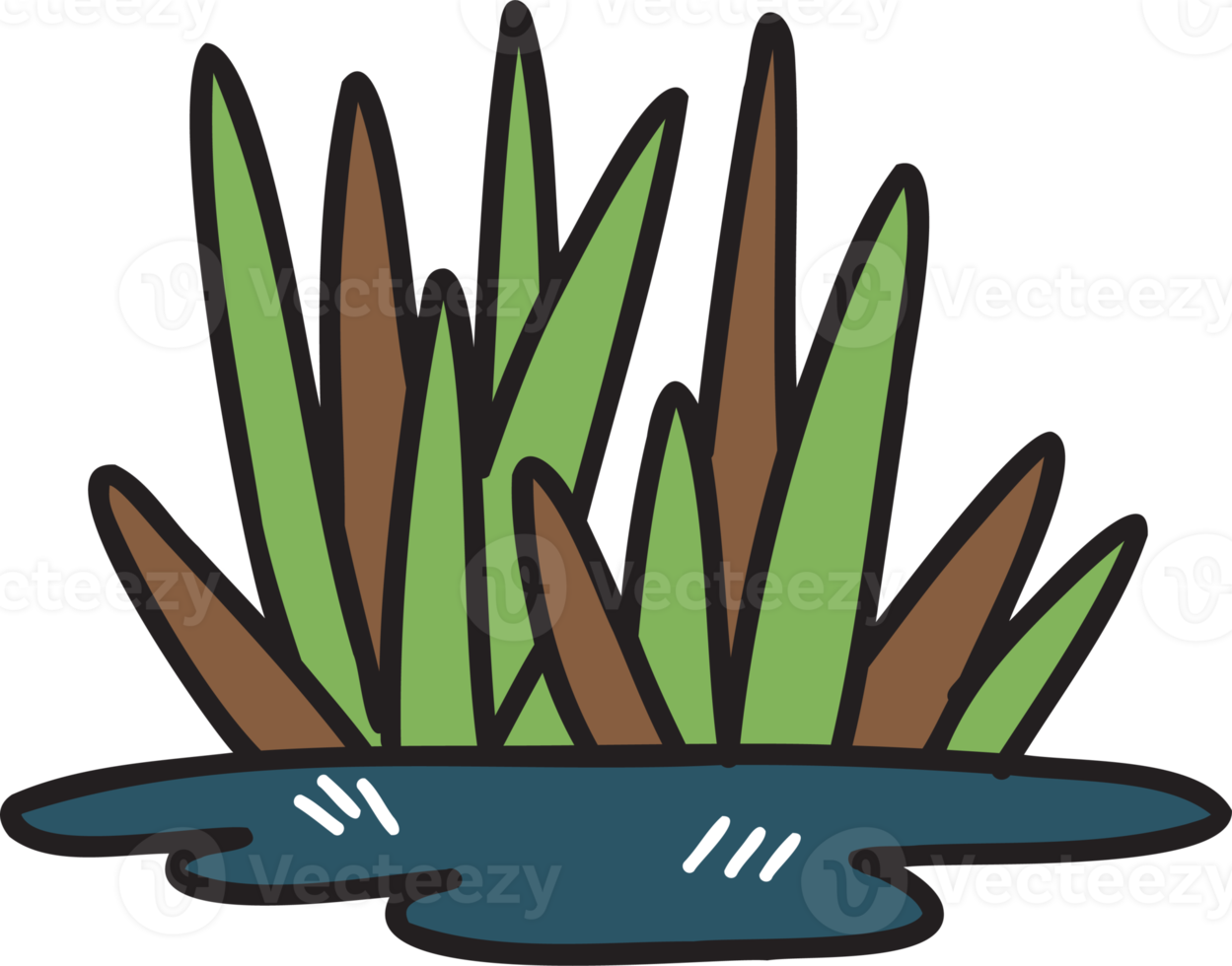 Hand Drawn grass growing on the ground illustration on transparent
