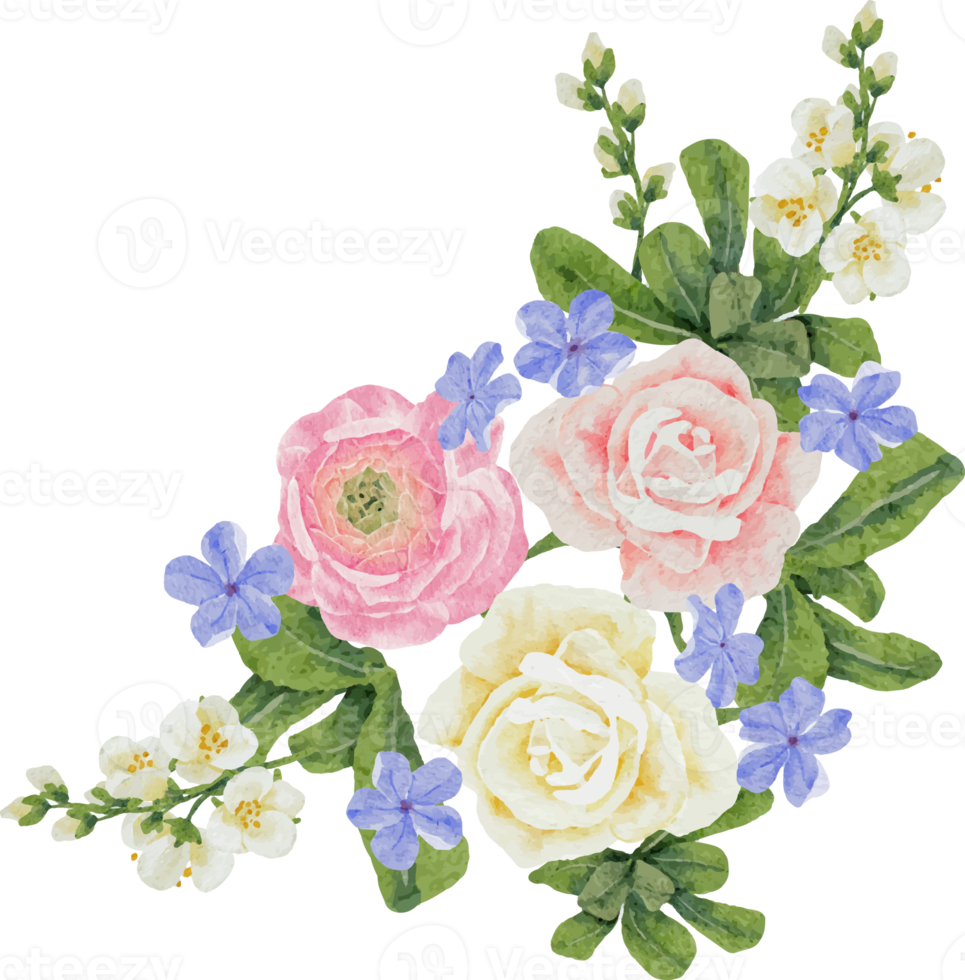 watercolor beautiful pink and white rose, ranunculus and blue Plumbago auriculata plant flower bouquet clipart png