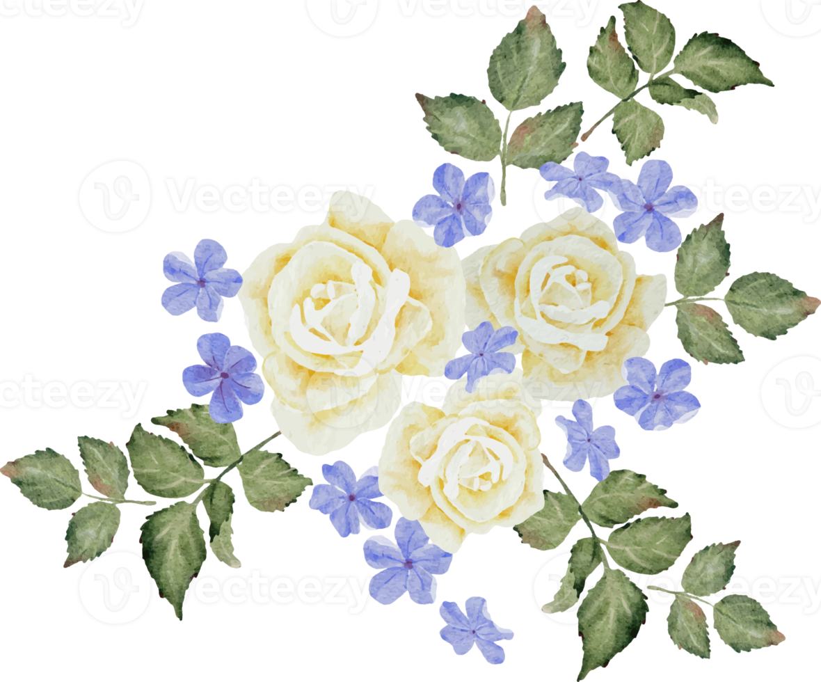 acuarela hermosa rosa blanca y azul plumbago auriculata planta flor ramo clipart png