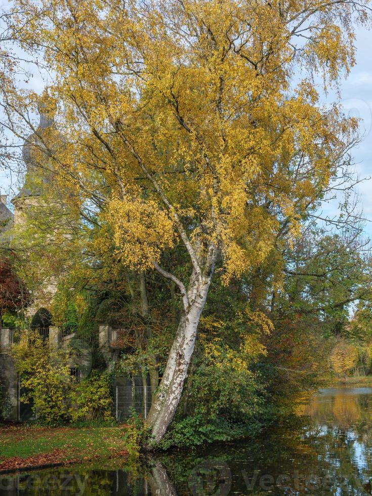 autumn time in westphalia photo