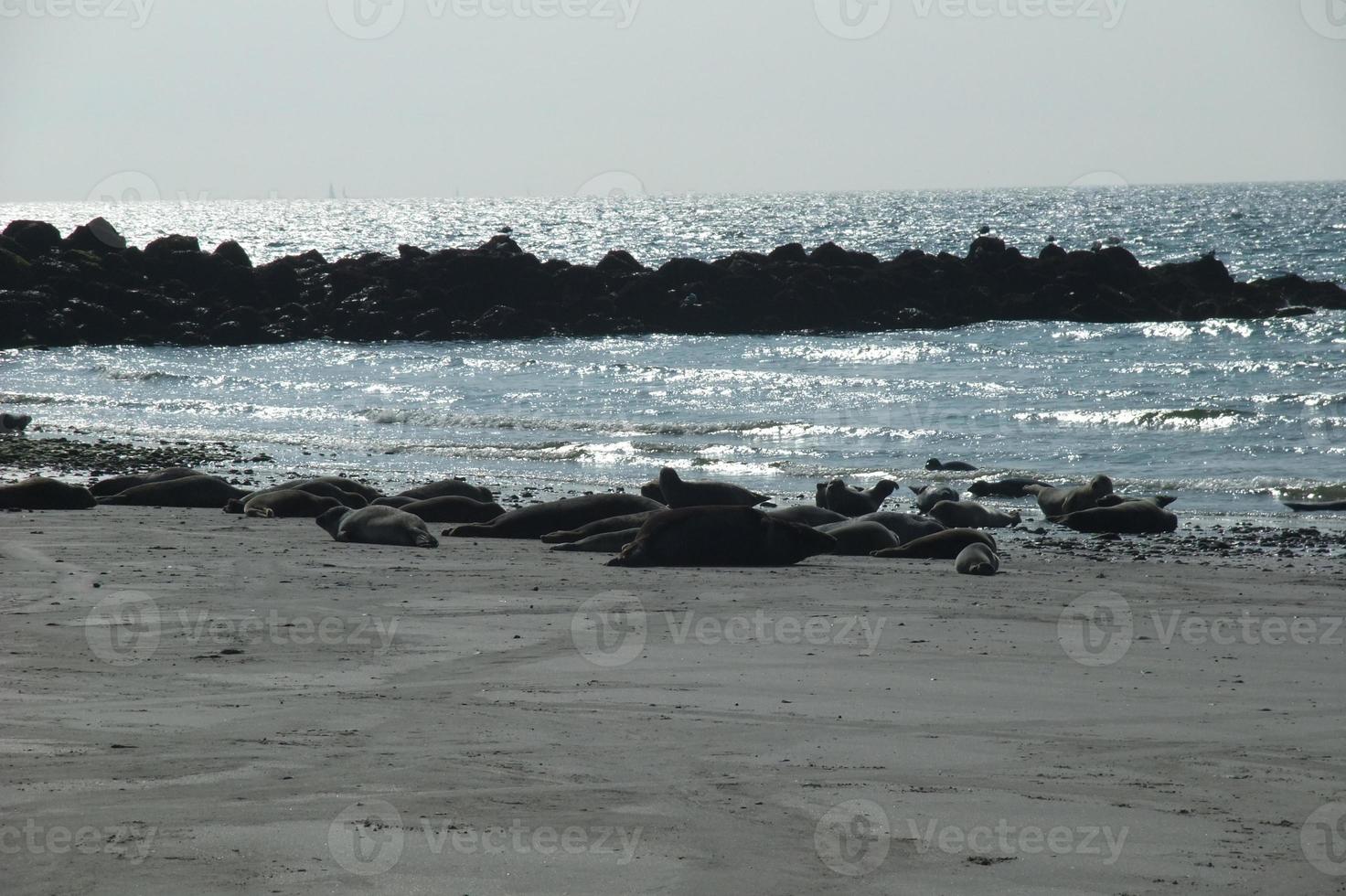 the Island of Helgoland photo