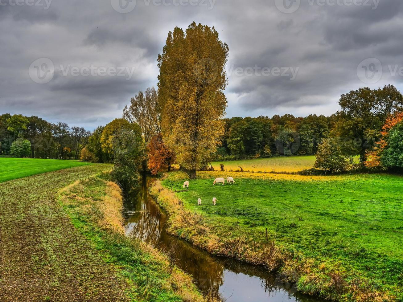 Autumn time in westphalia photo