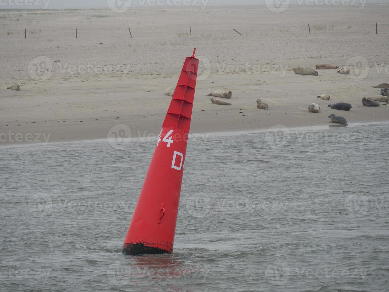 Baltrum island in the german north sea photo