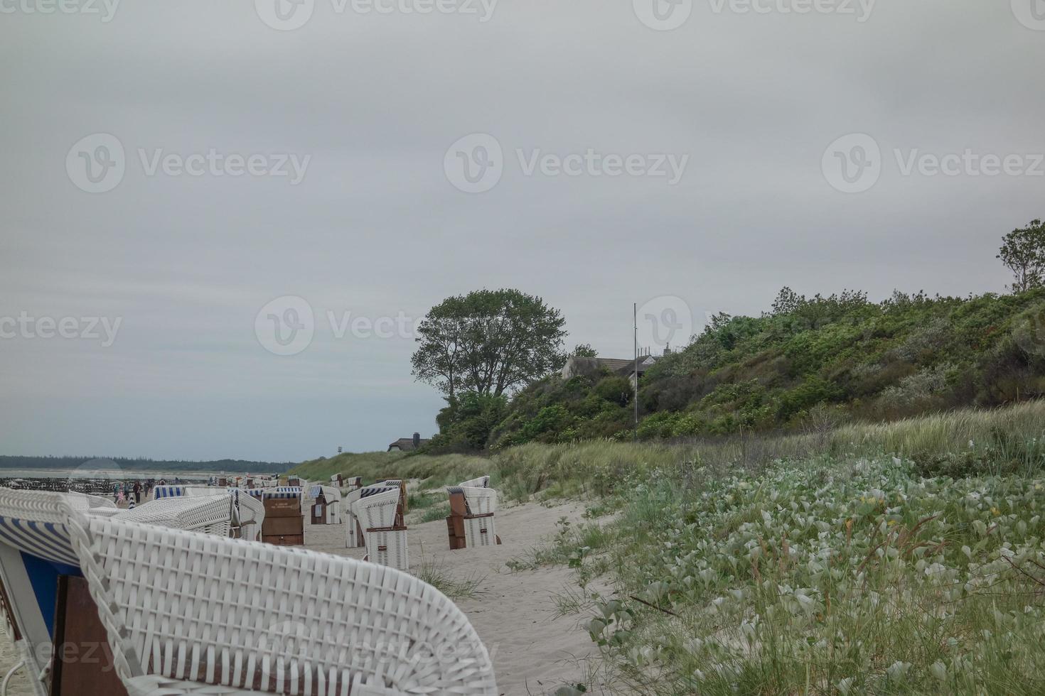 The island of Zingst photo